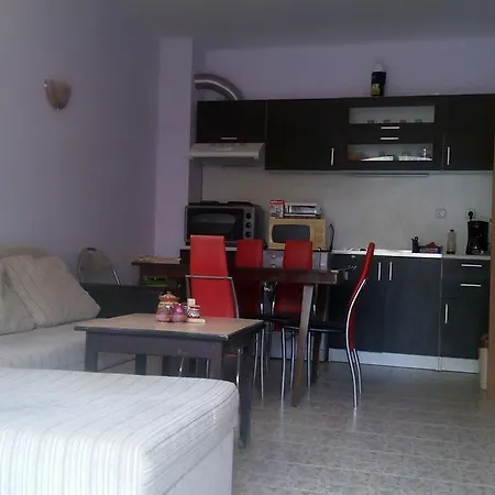 Apartament Ivanova *